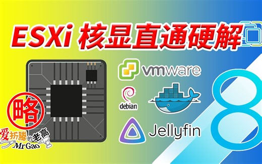 【更新】ESXi直通核显硬解 以N5105 Debian Docker安装N大Jellyfin为例 低功耗intel CPU核显通用核显硬解转码 非pve下套娃