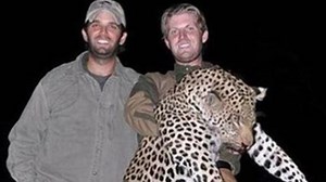 Trump reverses the ban on bringing back hunting trophies