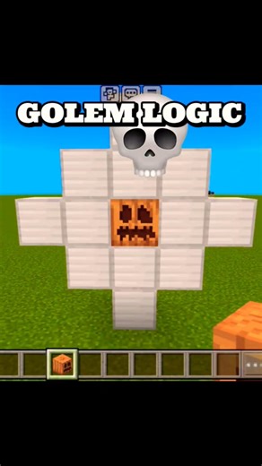 This Iron Golem Logic Makes NO Sense 😳 Minecraft