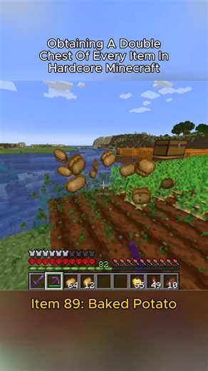 @pitlessmc on Instagram: "Here you go that one guy #minecraft #fyp"