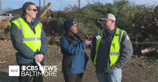 Around Town: Learning about Baltimore County's Christmas Tree recycling program