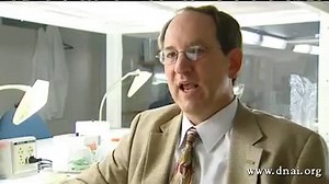 Better Know a Microbe: Agrobacterium tumefaciens | Microbiology