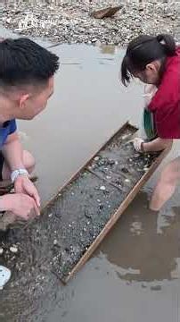 People still flock to the river to pan for gold at 12 PM
