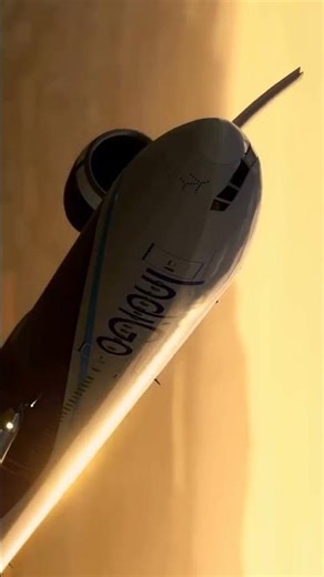 IndiGo Airlines Anterior Full HD View ✈️ | IndiGo Cabin | Aviation Lovers #Shorts