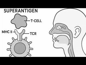 WHAT IS A SUPERANTIGEN?