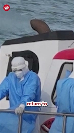 Brits on Hantavirus ship being sent to Merseyside to isolate