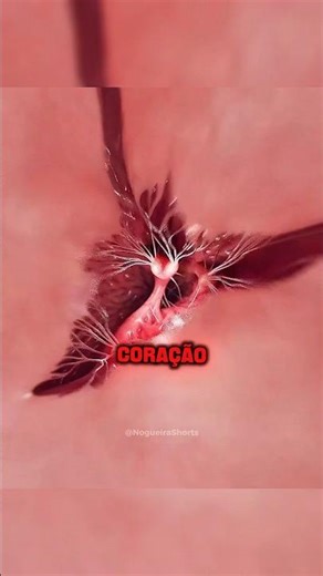 O erro que pode te Matar!