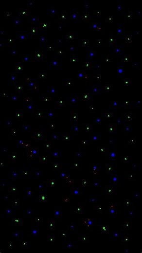 Particle Life Simulation - %s