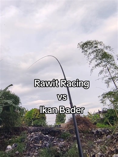 Iki hloo iwak 🙊 Piranti : Oregon rawit 360 setting lurus kolong neklin top Fuji by @danzeyk Senar : orca sinking master 0.08 Kail : Rangkaian 2 kail Pelampung : Nulnulslep no 3 v5 #mancingmania #mancingliar #tegekcustom #fyp #arusderas
