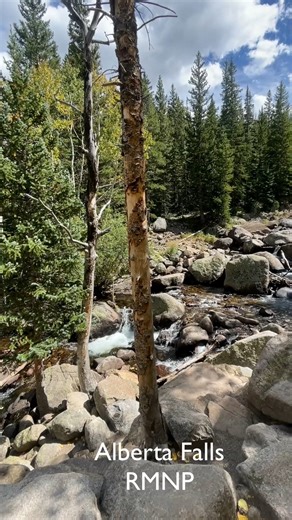 6.8K views · 232 reactions | Fall Is Whispering at Alberta Falls ...
