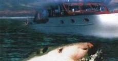Terror en el mar (2003)  - Ver Película Completa en Español / Castellano - FULLTV