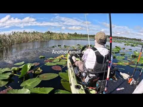 Lake Marion Sept 29 2025