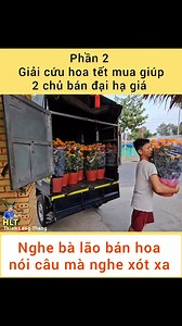 Giải cứu hoa tết mua giúp hai chủ bán đại hạ giá tại Lấp Vò | Thích Lang Thang