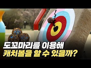 [핫클립] 도꼬마리를 이용해 캐치볼 하기 / YTN 사이언스