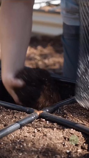 Worm composting directly in the garden bed simplifies the process of vermicomposting. ⁣ ⁣ The worms live, work, reproduce, and make worm castings in the garden bed where they are needed. ⁣ ⁣ If you live in the low desert, now is the perfect time to add them to your beds.⁣ ⁣ It’s been shown that worm castings in the garden help plants grow larger and stronger. They also get more and better-quality flowers, fruit, and vegetables. It can also increase a plant’s resilience to pests, drought, heat, d