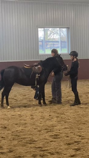 4 year old Christian is working on his skillset: lots of “jumping position” practice, “up downs” and holding the reins. Christian rode Tiggy this lesson, but he has also ridden Ducky, Rey, Maguire and Anakin! | Eleven Eleven Equine Holdings