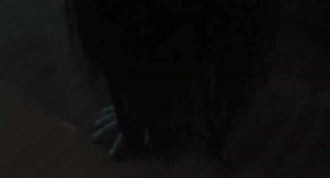 Sadako (2019) Dir. Hideo Nakata | MORBIDO FILM FEST