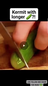 1.3K views · 18 reactions | Does size matter that much?! 勒藍 #Kermit #reels #cucumber #size #funnyvideos #fyp | KermiePalpatine | Facebook