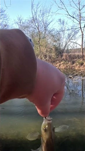 Ultralight creek fishing