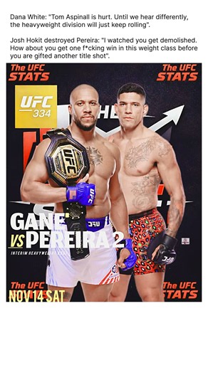 Alex Pereira's Last Shot at UFC History