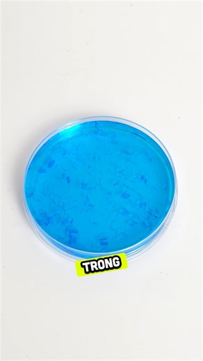 3.6K views · 33 reactions | Đơn tinh thể chỉ nuôi trong 1 tháng ? | Crystella - Tinh thể sáng tạo | Facebook