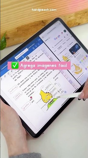 CUADERNOS DIGITALES para todos tus apuntes y anotaciones 🤗