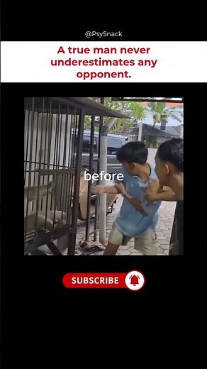 Monkey Messed With The Wrong Guy #funny #shorts #viral
