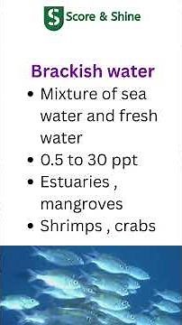 FRESH WATER | MARINE WATER| BRACKISH WATER| FISHERY|MARICULTURE #agriculture #fishery #scoreandshine