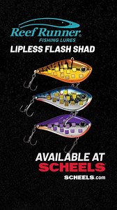 Reef Runner Tackle Company Flash Shad: https://bit.ly/4hM5clZ Take flashy baits to a whole new level! The Flash Shad's mirrored squares disperse a tremendous amount of light. It also has internal rattles, making it an excellent bait for calling in fish from a distance. | Scheels Outdoors