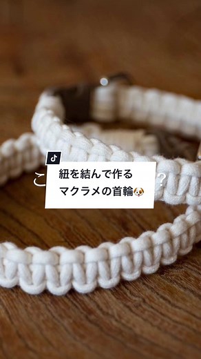 すぐ分かったらすごい！🐶 【材料】コットンコード3mm 作りたい長さの6倍2本、まとめ用45cm1本、プラバックル、Dカン【作り方】二つ折りひばり結びでDカンとバックルに紐を取り付け希望の長さまで平結び、最後にバックルの片方を取り付け折り返してまとめ結びで固定する。 #マクラメ#結び方#ハンドメイド#犬のいる生活 #macrame