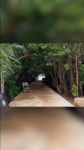 Explore the Enchanted Forest and Tranquil Waters of Culebra, Puerto Rico. #explorepuertorico