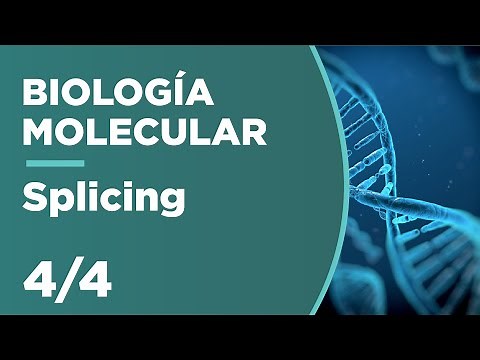 SPLICING y Splicing Alternativo | Biología Molecular 4/4