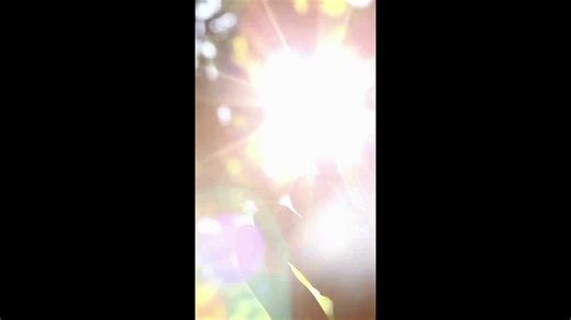 This International Day of Persons with Disabilities, we’re celebrating the power of choice. Hear from Katy, a MI Choice participant, whose story shows how the right support can turn barriers into possibilities. Learn more about the MI Choice program at https://www.ageways.org/services-and-seniors/in-home-care/. | AgeWays Nonprofit Senior Services | Facebook