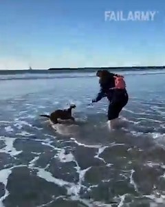 Perfect Scare - Fails of the Week | FailArmy part 5 | FailArmy