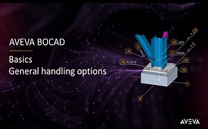 AVEVA Bocad课程：常规处理选项