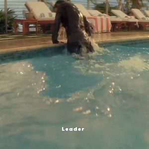 - This scene 🖤🥀 | The Nostalgic Society