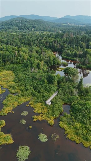 2.5K views · 12 reactions | Looking for some easy-going hikes near Quebec City this summer? Join Audrey-Lyne Ferlatte (@ferlattez) as she shares some of her favourite scenic boardwalks to visit in Quebec. Which one are you visiting first? Produced in association with CBC Creator Network. #QuebecCity #Hikes #hikingadventures #CanadaTravel | CBC Life | Facebook