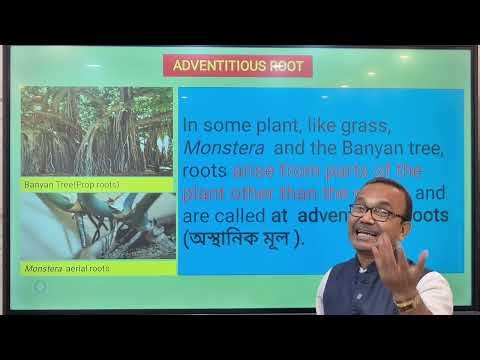 Biology Semester - I Morphology of Flowering Plants Part - 1 by WBCHSE And S&D