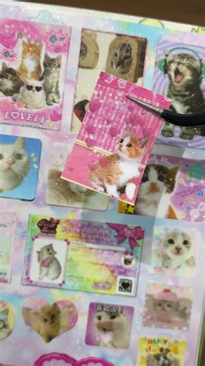 Satisfying Cat Sticker Peeling Experience