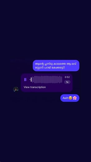 adnan on Instagram: "Agane aa story agat parann last #rawcover #guitar"