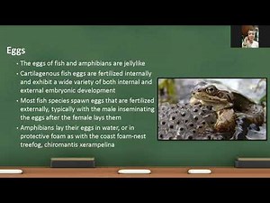 Fish Reproductive Biology Report