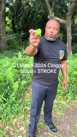 Understanding Clogged Blood and Stroke Risk