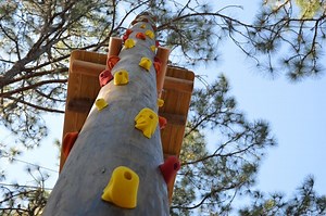 TreeUmph! Adventure Course checked off some of its wish list items to serve guests better