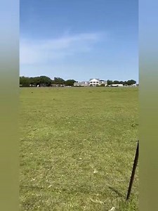 13K views · 490 reactions | Prophete Denis Lessie vous salue depuis dallas | Prophète Denis Lessie Officiel | Facebook