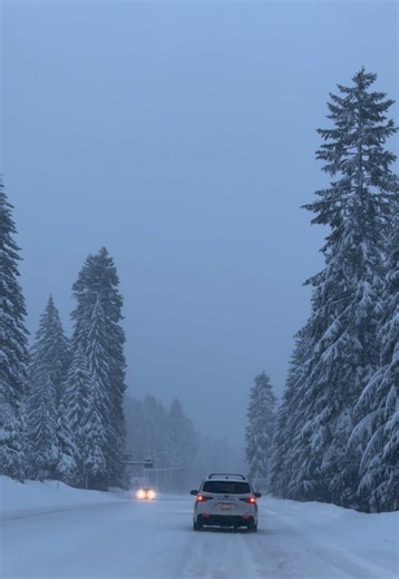 Portland streets ➡️ snow-covered peaks in about an hour. One minute it’s coffee and crosswalks, the next it’s fresh powder and mountain air. Follow us from the city to Government Camp on Mt. Hood—where the views hit harder, the air feels cleaner, and winter actually shows off. Proof you don’t need a plane ticket to escape… just a full tank and a sense of adventure ❄️🚗💨 #gooddayportland #mthood #snowday #portland #oregon