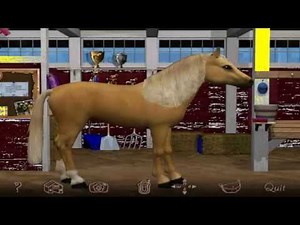 Barbie Riding Club Pc Game. How to care for a horse