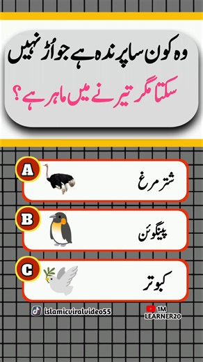 Urdu Viral Question Answer #commonsenseriddles #generalknowledge #mindpuzzle #brainteaser #puzzle