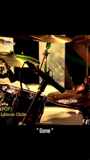 U2 'Gone' Cover by Lemon Chile: A Fresh Musical Take