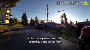 On Patrol: Dog Attack | Kitsap County Sheriff's Office