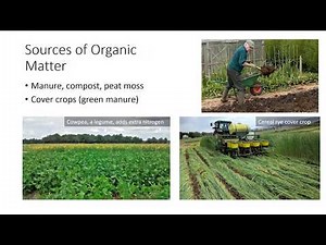 Fertilizers for Plant Health